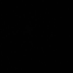 Meet your Posher, Cheikh